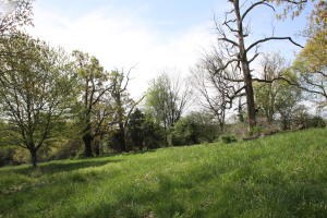 7.38 ac Bunker Rd, Harrison, AR 72601 - photo 5