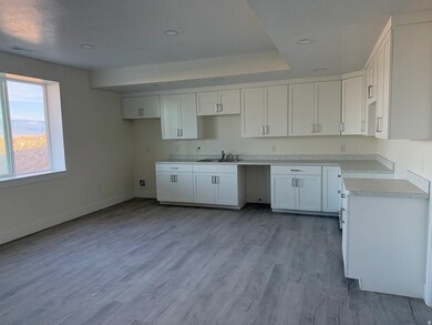 255 E 16320 N unit 4, Wales, UT 84667 - photo 3
