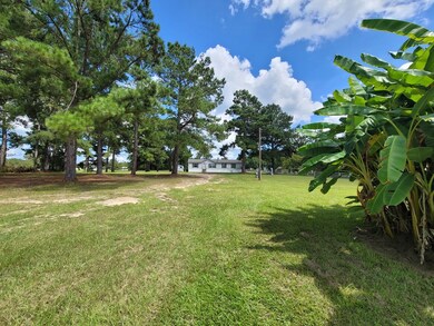 3218 S County Line Rd, Albany, GA 31705 - photo 4