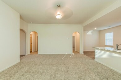 10805 Copper Hills Ln, Fort Worth, TX 76108 - photo 7