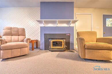 Wood burning fireplace insert in family room