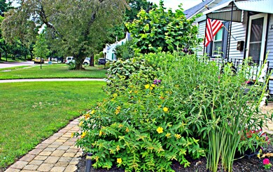 Front Landscaping