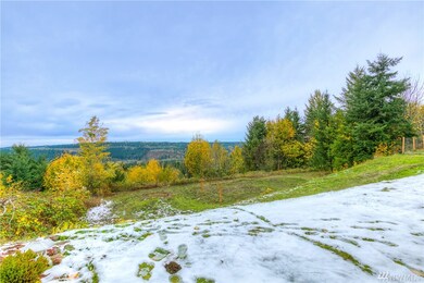 21609 185th Street Ct E, Orting, WA 98360 - photo 4