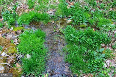 2669 Robert Ours Rd, Petersburg, WV 26847 - photo 4