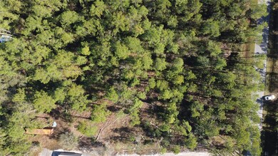 4150 Melanie St, Hastings, FL 32145 - photo 7