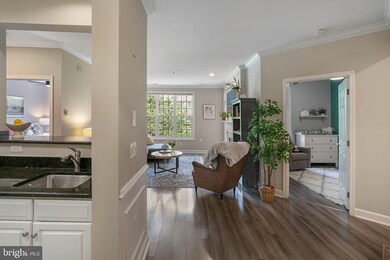 2330 14th St N unit 301, Arlington, VA 22201 - photo 3