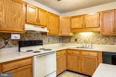 105 D-8 Hailey Ln, Strasburg, VA 22657 - photo 5