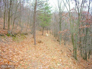 248 Hickory Tree Rd, Moorefield, WV 26836 - photo 5