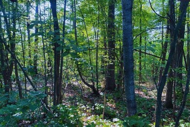 Diamond Dr, Cushing, MN 56443 - photo 7