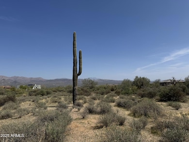 174th E Dixileta Dr, Scottsdale, AZ 85263 - photo 7