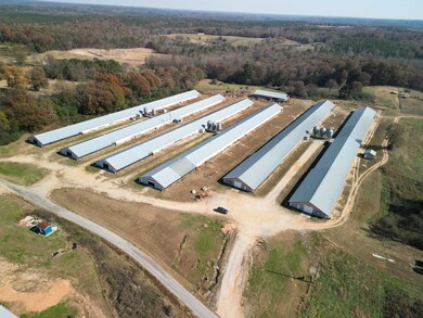 0 Cowbranch Rd, Hackleburg, AL 35564 - photo 4