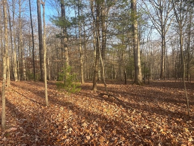 0 Maple Rd, Beckley, WV 25801 - photo 2