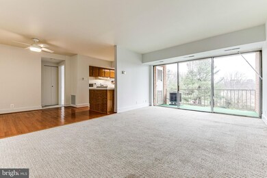 3710 N Rosser St unit 204, Alexandria, VA 22311 - photo 2