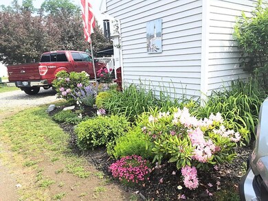 SIDE SHED FLOWER BED
