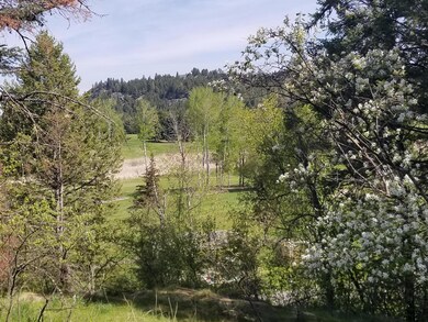 230 Eagle Bend Dr, Big Fork, MT 59911 - photo 3