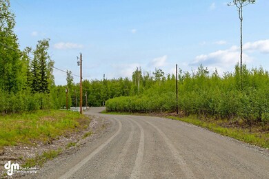 B4 L10 S Preston Hills Dr, Big Lake, AK 99654 - photo 3