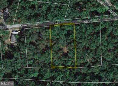 207 Tall Pine Ln, Gerrardstown, WV 25420 - photo 3