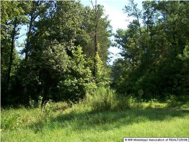 unlisted-address, Hernando, MS 38632 - photo 3