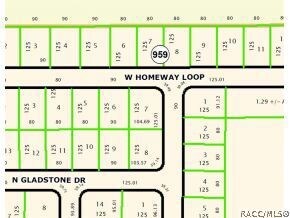 Plat Map (lot 7)