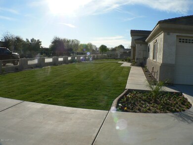 Brand new landscaping