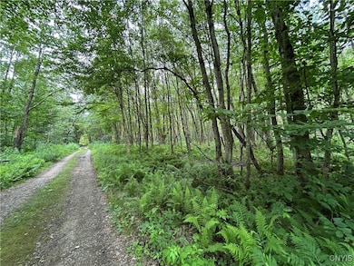 0 Kimball Camp Rd unit S1622094, Orwell, NY 13426 - photo 3