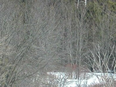 Land/Lot.