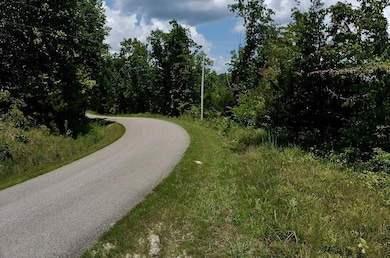 0 Mouse Tail Rd, Parsons, TN 38363 - photo 2