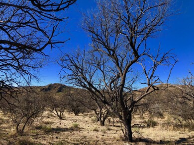 61 Salida Springs Way (26)