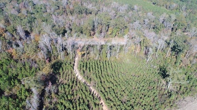 Henry Co Rd 46, Shorterville, AL 36373 - photo 2