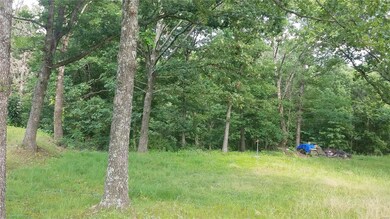 10133 Highway D, Dixon, MO 65459 - photo 6