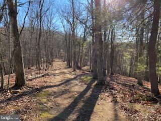 0 Christian Church Rd unit WVHS2000982, High View, WV 26808 - photo 4