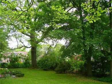 Exterior Back. The mature trees common to this are
