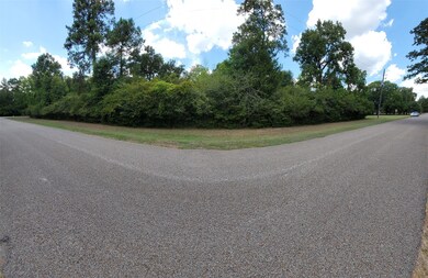 14102 Deer Run St, Decker Place, TX 77355 - photo 2