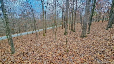 Lot #302 Lake Dr, Jasper Township, MO 65079 - photo 5