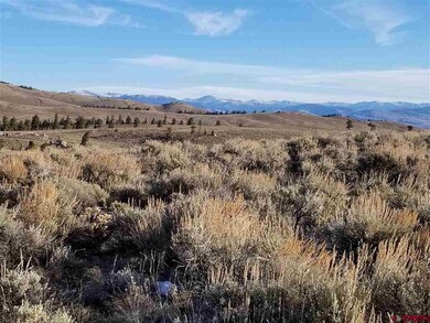 0 Ponderosa Ln, Gunnison, CO 81230 - photo 6