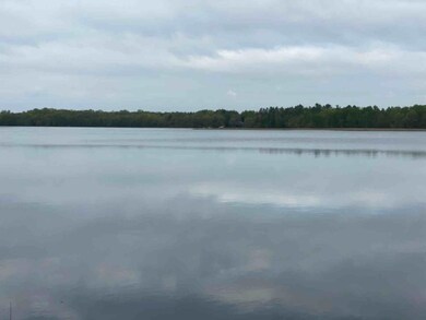 Pine Island Lake