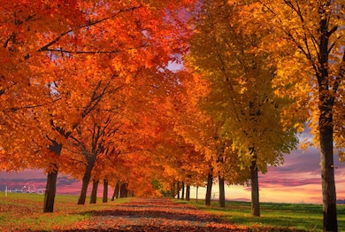 NKA E Day Mt Spokane Rd unit North Parcel, Mead, WA 99021 - photo 6