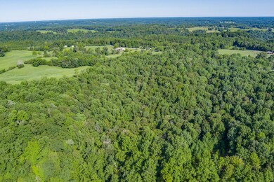 3 Island, Walling, TN 38567 - photo 4