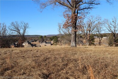 314 & 318 Stone Mountain Loop, Alma, AR 72921 - photo 7