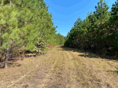 0000 Armstrong Rd, Pangburn, AR 72121 - photo 4