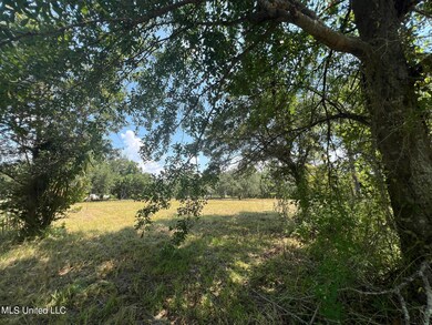 prentiss pics view from under oak
