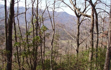 Additional View