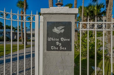 DSC_0346