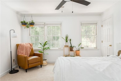 Bedroom with crown molding, multiple windows, carpet floors, and ceiling fan