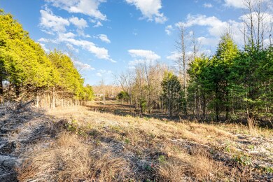 0 Maple Valley Rd, Cumberland Furnace, TN 37051 - photo 5