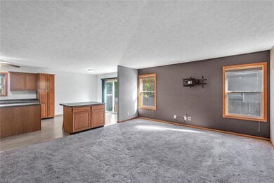 1999 Bathgate Ave, Madison, OH 44057 - photo 7