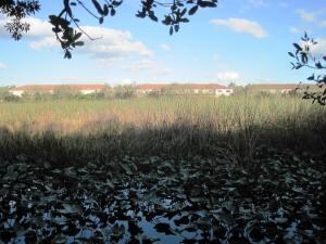 2033 Oakhurst Way, Riviera Beach, FL 33404 - photo 3