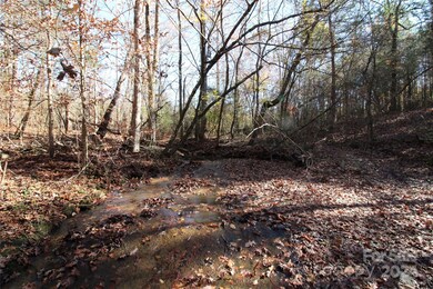 40+/- AC LOT 6 Hartness Rd, Clover, SC 29710 - photo 6