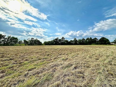 6160 Muela Creek Dr unit 6150, 6170, 6180 Mue, Beaumont, TX 77706 - photo 5