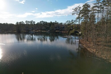 1533 Saugus Ct, Chapin, SC 29036 - photo 6